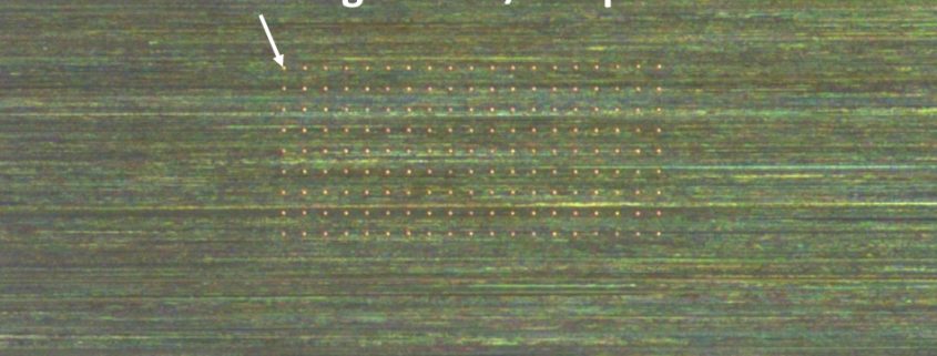 Mikrobohren in Edelstahl, Bohrdurchmesser 30 µm